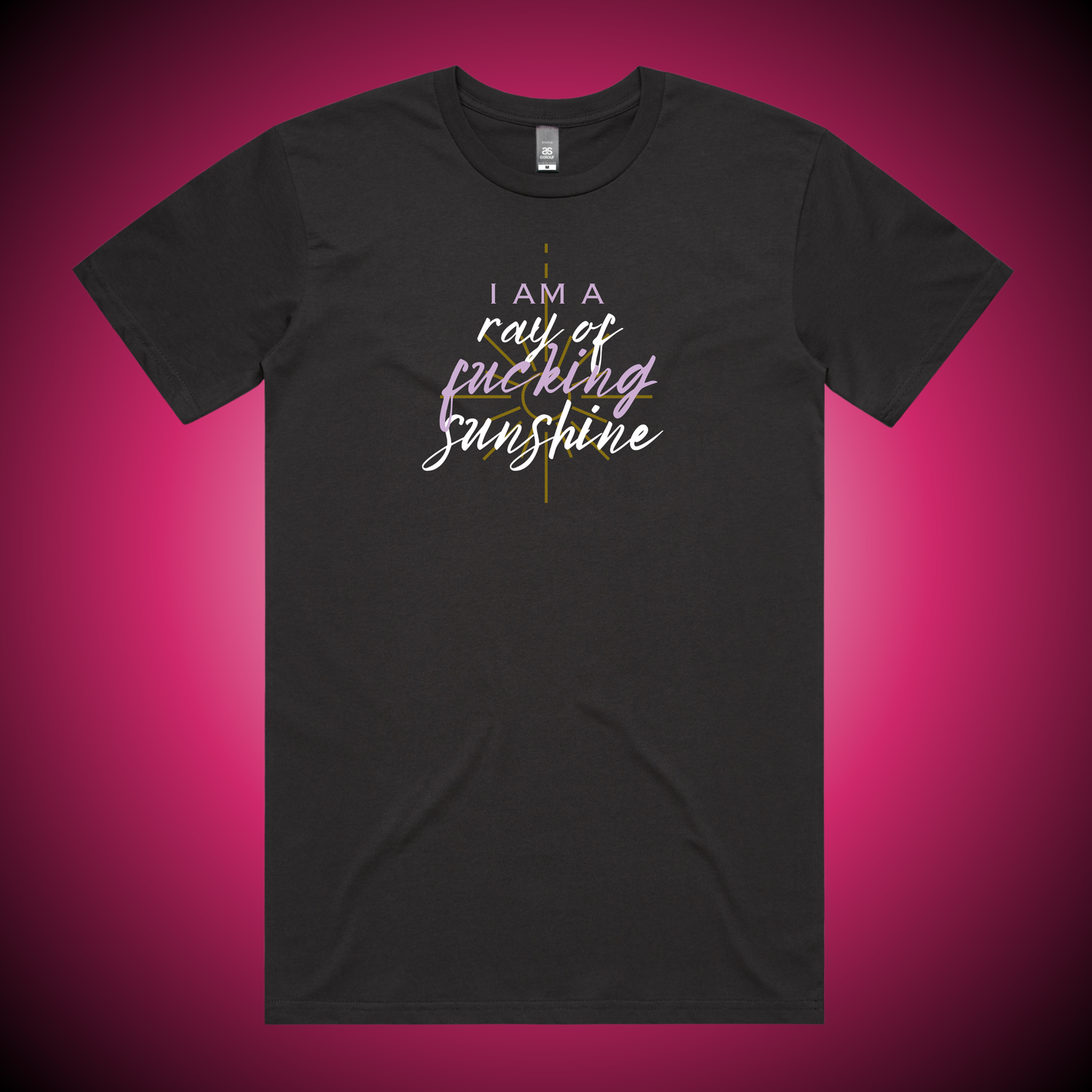 Ray of Fucking Sunshine T-Shirt (Charcoal Only)