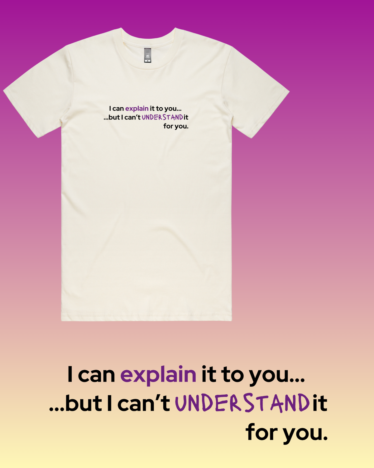 I Can Explain It To You... T-Shirt