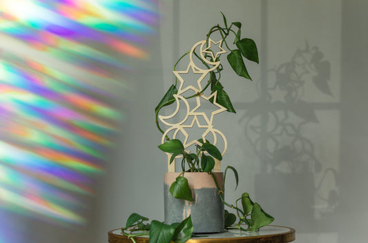 Celestial Plant Trellis